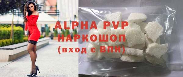 ECSTASY Белокуриха