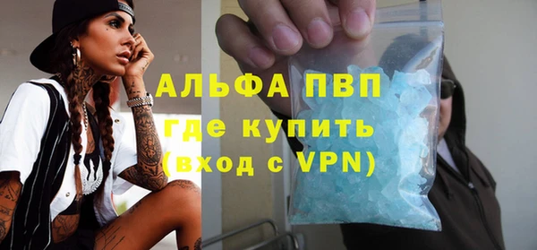 ECSTASY Белокуриха