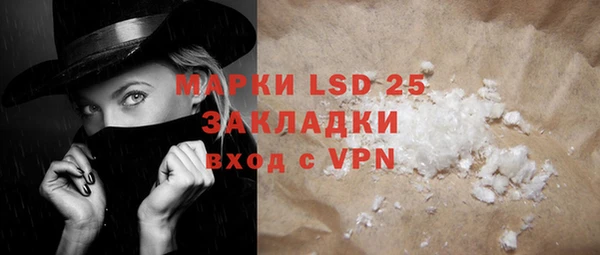 ECSTASY Белокуриха