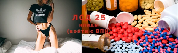 ECSTASY Белокуриха