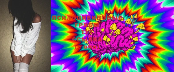 ECSTASY Белокуриха