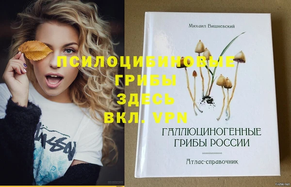 мдма Беломорск